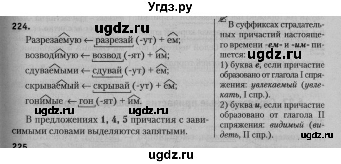 ГДЗ (Решебник к учебнику 2015) по русскому языку 7 класс Т.Н. Волынец / упражнение / 224