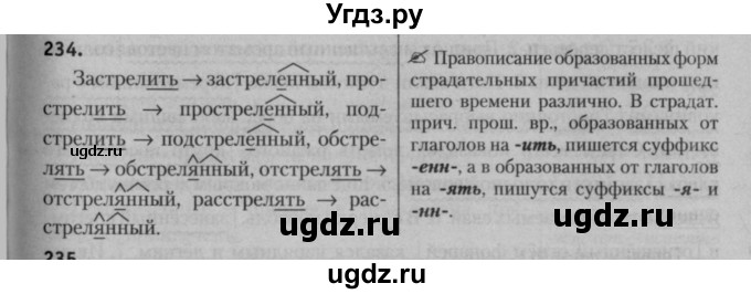 ГДЗ (Решебник к учебнику 2015) по русскому языку 7 класс Т.Н. Волынец / упражнение / 234