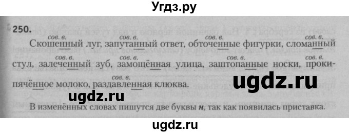 ГДЗ (Решебник к учебнику 2015) по русскому языку 7 класс Т.Н. Волынец / упражнение / 250