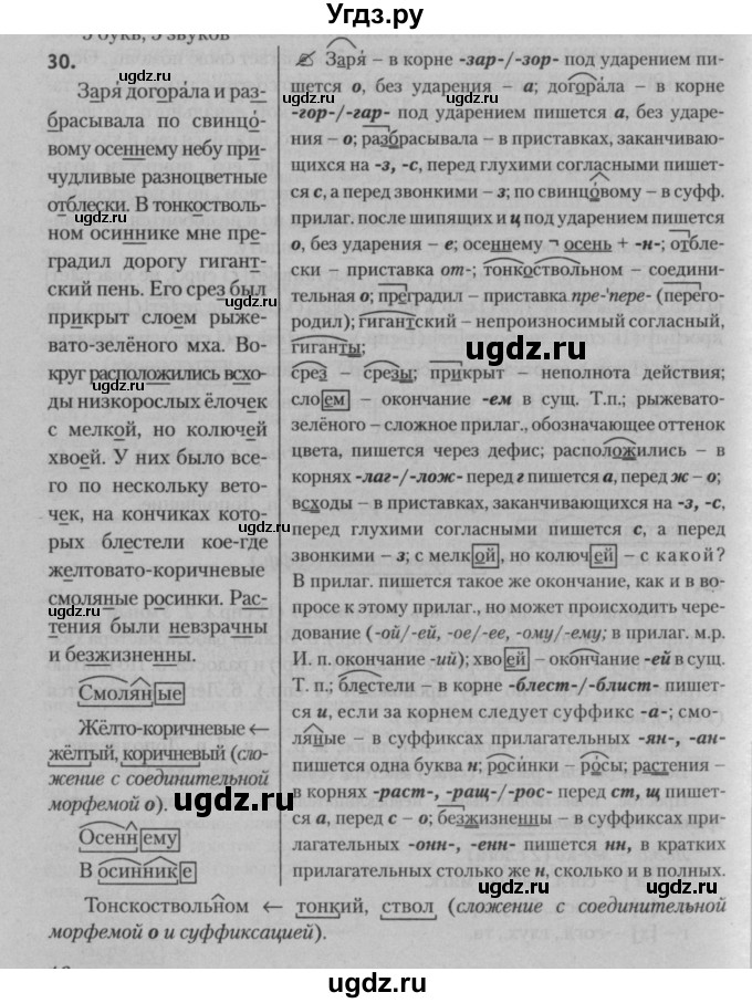 ГДЗ (Решебник к учебнику 2015) по русскому языку 7 класс Т.Н. Волынец / упражнение / 30