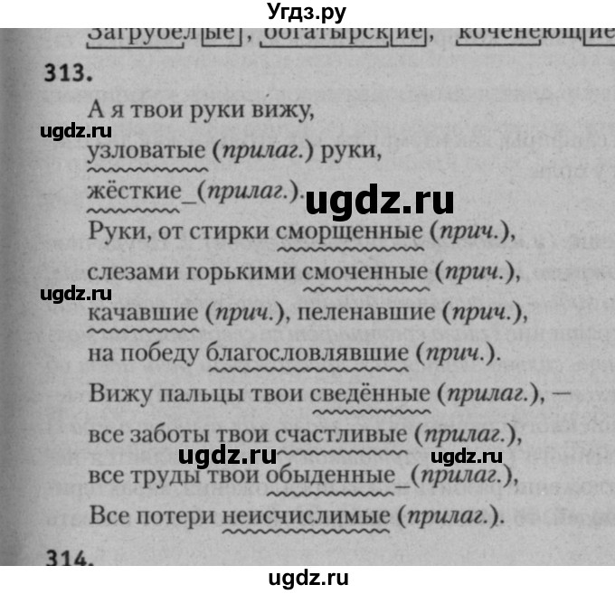 ГДЗ (Решебник к учебнику 2015) по русскому языку 7 класс Т.Н. Волынец / упражнение / 313