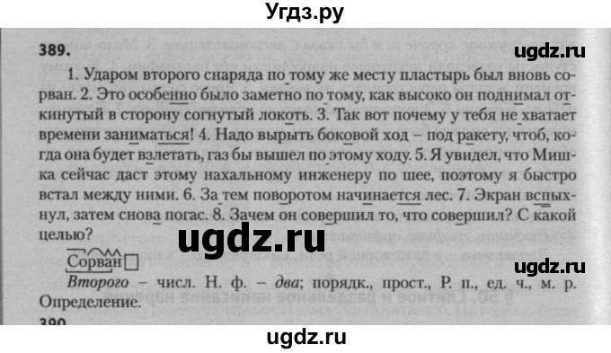 ГДЗ (Решебник к учебнику 2015) по русскому языку 7 класс Т.Н. Волынец / упражнение / 389