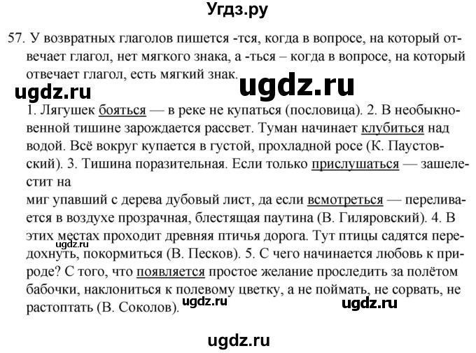 ГДЗ (Решебник к учебнику 2020) по русскому языку 7 класс Т.Н. Волынец / упражнение / 57