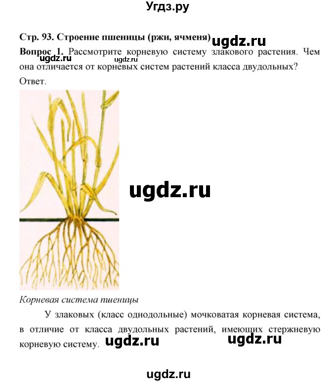 ГДЗ (Решебник) по биологии 7 класс В.В. Пасечник / параграф 11 / задание / 1