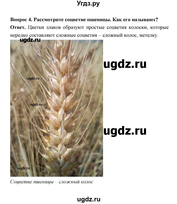 ГДЗ (Решебник) по биологии 7 класс В.В. Пасечник / параграф 11 / задание / 1(продолжение 4)