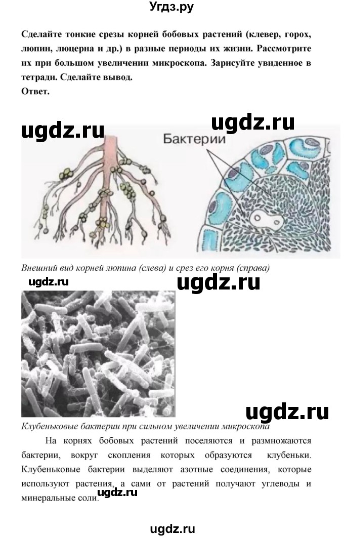 ГДЗ (Решебник) по биологии 7 класс В.В. Пасечник / параграф 18 / задание / 2