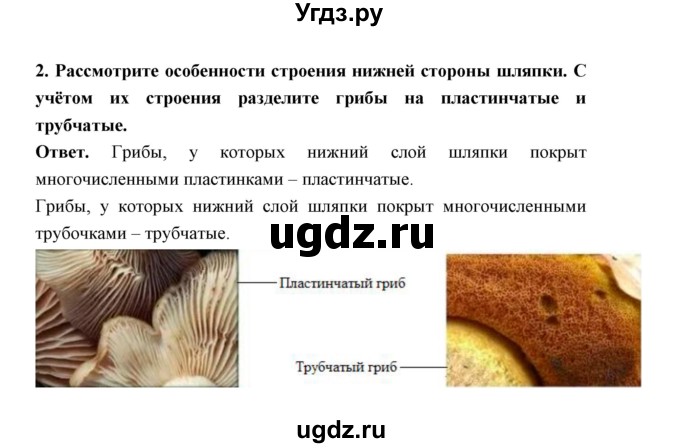 ГДЗ (Решебник) по биологии 7 класс В.В. Пасечник / параграф 20 / задание / 2(продолжение 2)