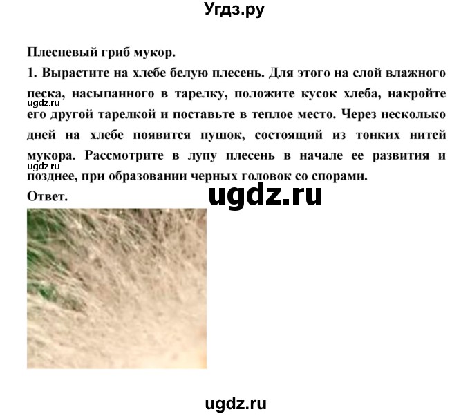 ГДЗ (Решебник) по биологии 7 класс В.В. Пасечник / параграф 21 / задание / 1