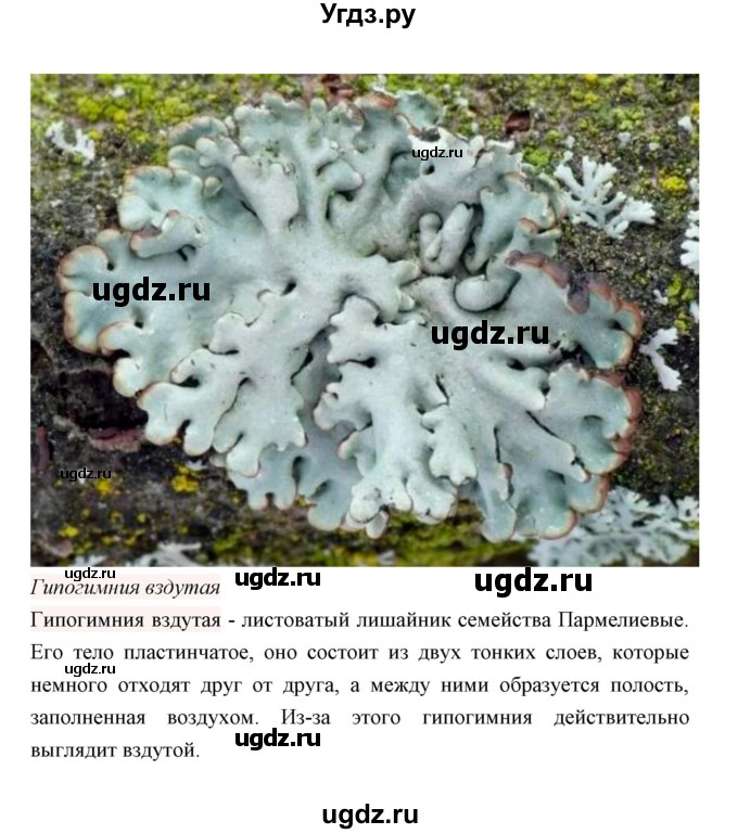 ГДЗ (Решебник) по биологии 7 класс В.В. Пасечник / параграф 23 / задание / 2(продолжение 3)