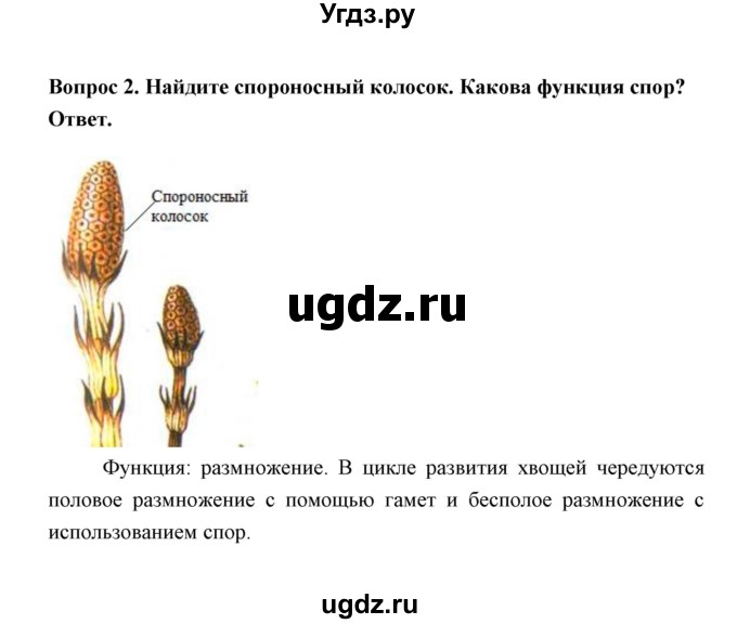 ГДЗ (Решебник) по биологии 7 класс В.В. Пасечник / параграф 4 / задание / 1(продолжение 2)