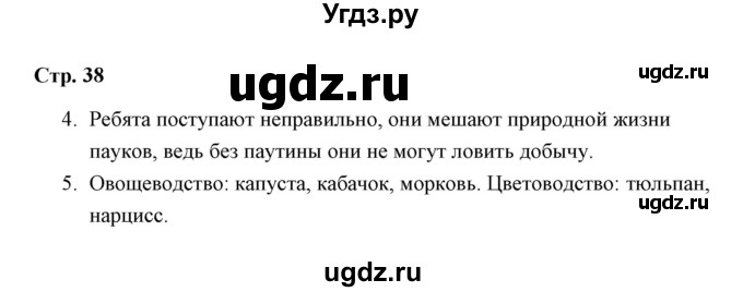 ГДЗ (Решебник) по окружающему миру 4 класс (проверочные работы) А.А. Плешаков / проверочная работа 4 (вариант) / вариант 2 (страница) / 38