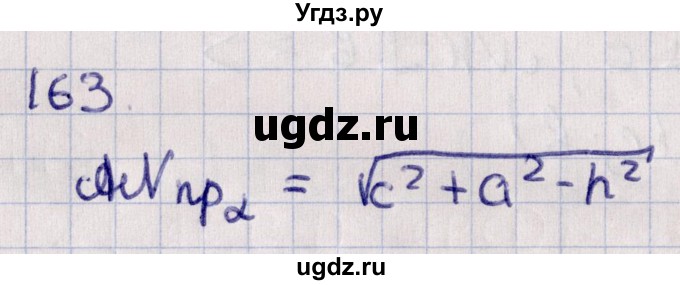 ГДЗ (Решебник) по геометрии 10 класс Солтан Г.Н. / 10 класс / задача / 163