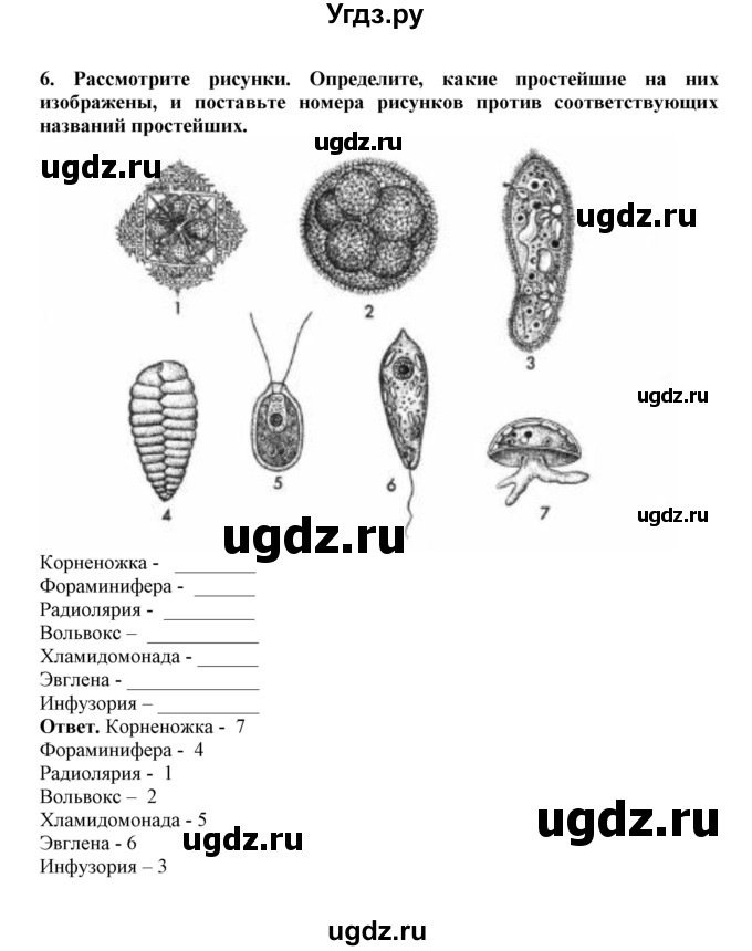 ГДЗ (Решебник) по биологии 7 класс (рабочая тетрадь) В. В. Латюшин / параграф 3,4 (упражнение) / 6