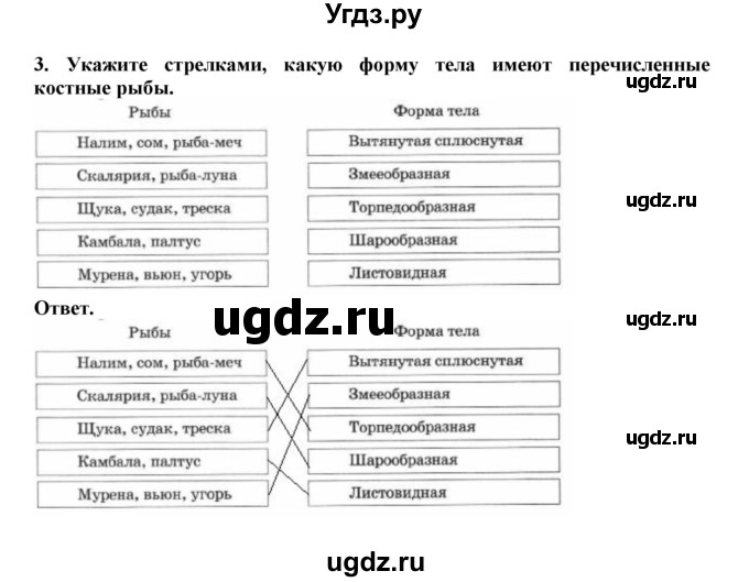 ГДЗ (Решебник) по биологии 7 класс (рабочая тетрадь) В. В. Латюшин / параграф 21 (упражнение) / 3