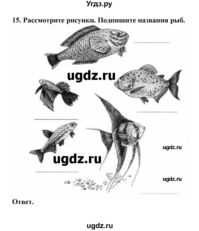 ГДЗ (Решебник) по биологии 7 класс (рабочая тетрадь) В. В. Латюшин / параграф 23 (упражнение) / 15