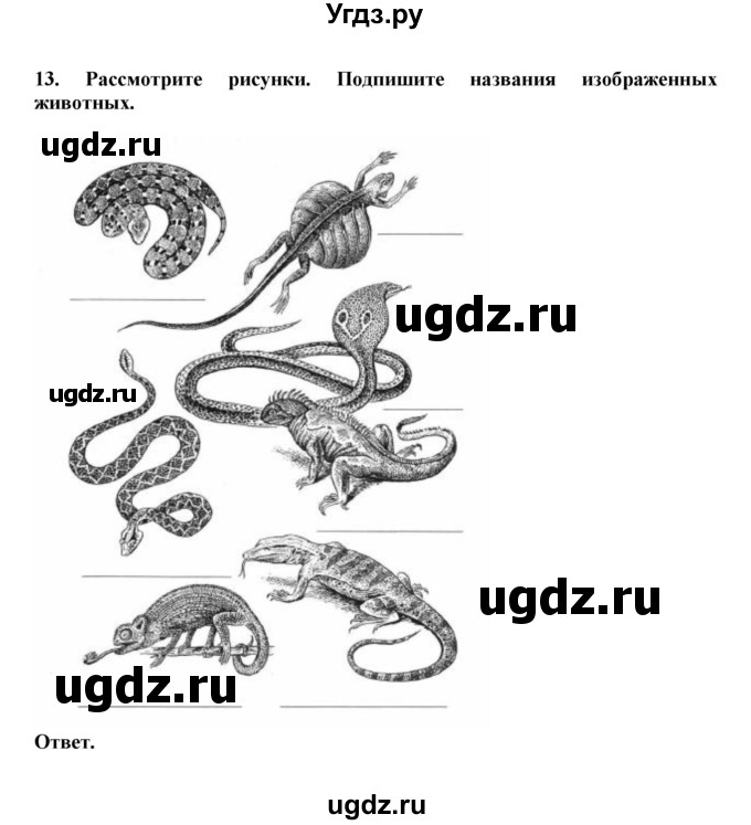 ГДЗ (Решебник) по биологии 7 класс (рабочая тетрадь) В. В. Латюшин / параграф 25 (упражнение) / 13