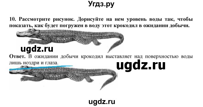 ГДЗ (Решебник) по биологии 7 класс (рабочая тетрадь) В. В. Латюшин / параграф 26 (упражнение) / 10