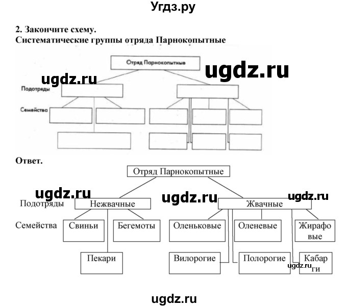 ГДЗ (Решебник) по биологии 7 класс (рабочая тетрадь) В. В. Латюшин / параграф 31-35 (тема) / парнокопытные (упражнение) / 2