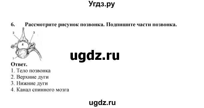 ГДЗ (Решебник) по биологии 7 класс (рабочая тетрадь) В. В. Латюшин / параграф 37 (упражнение) / 6