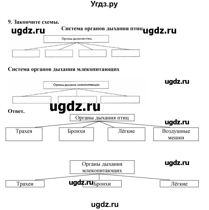 ГДЗ (Решебник) по биологии 7 класс (рабочая тетрадь) В. В. Латюшин / параграф 39 (упражнение) / 9