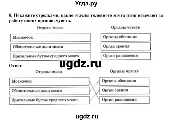 ГДЗ (Решебник) по биологии 7 класс (рабочая тетрадь) В. В. Латюшин / параграф 44 (упражнение) / 8