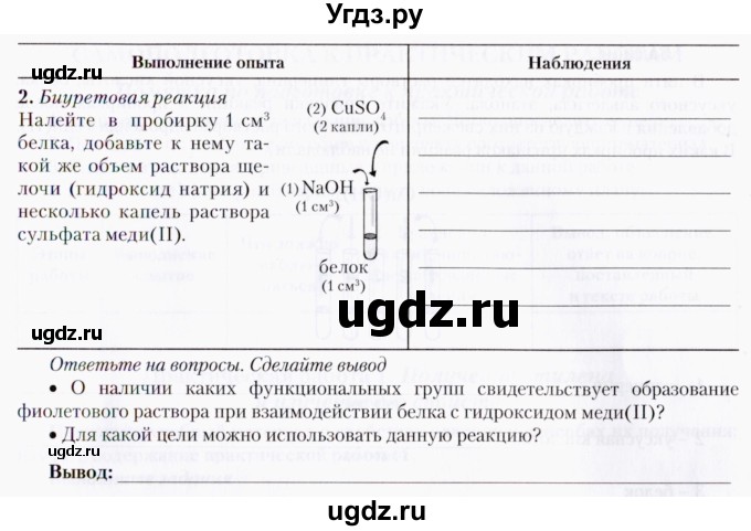 ГДЗ (Тетрадь) по химии 10 класс (тетрадь для практических работ) Борушко И.И. / приложение / лабораторный опыт / 9(продолжение 2)