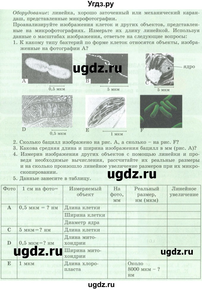 ГДЗ (Учебник) по биологии 9 класс Асанов Н.Г. / страница / 10-11(продолжение 2)