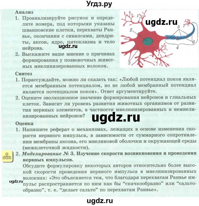 ГДЗ (Учебник) по биологии 9 класс Асанов Н.Г. / страница / 103-104