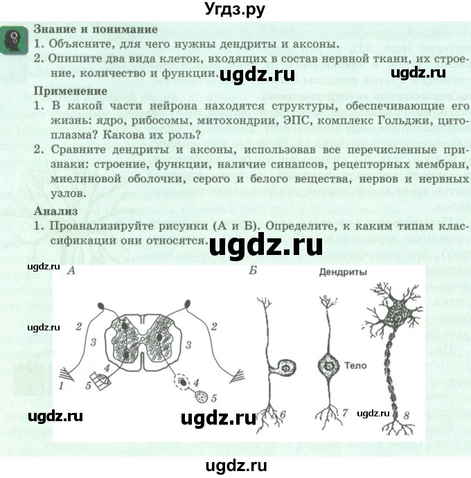 ГДЗ (Учебник) по биологии 9 класс Асанов Н.Г. / страница / 98
