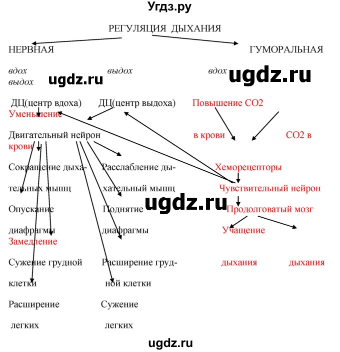 ГДЗ (Решебник) по биологии 9 класс Асанов Н.Г. / страница / 111(продолжение 6)