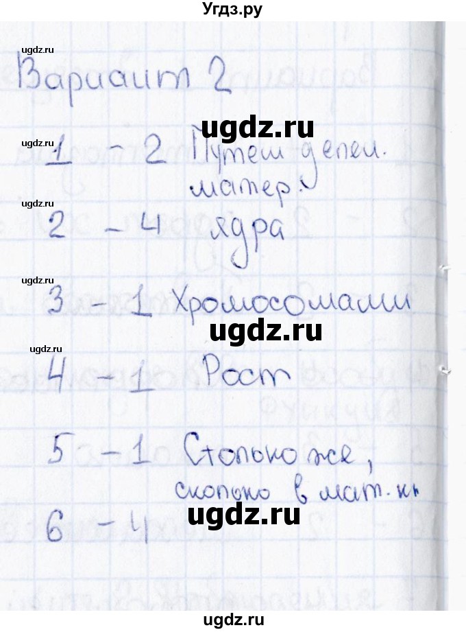 ГДЗ (Решебник) по биологии 5 класс (тесты) Н. А. Богданов / Процессы жизнедеятельности клетки (вариант) / 2