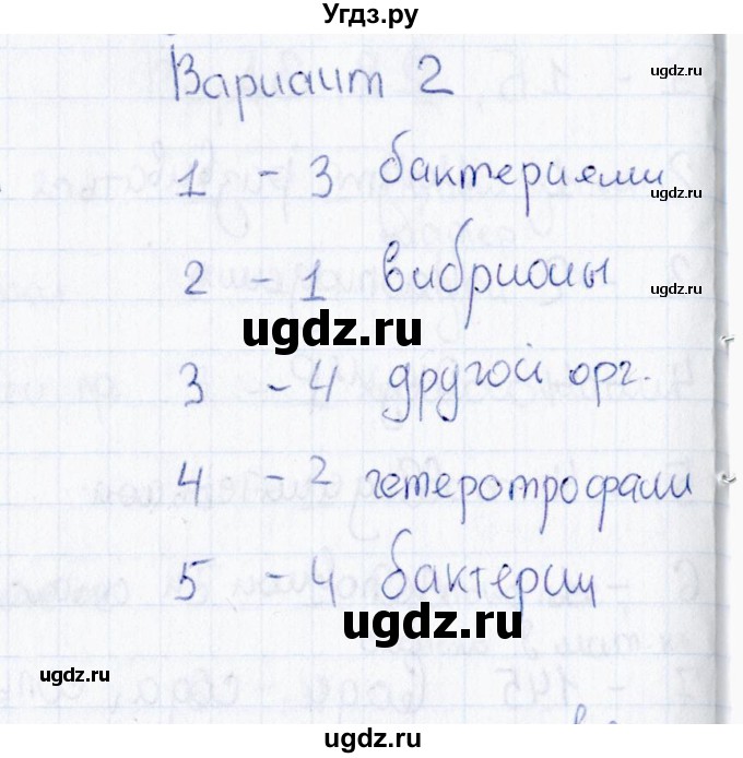 ГДЗ (Решебник) по биологии 5 класс (тесты) Н. А. Богданов / Бактерии: строение и жизнедеятельность (вариант) / 2