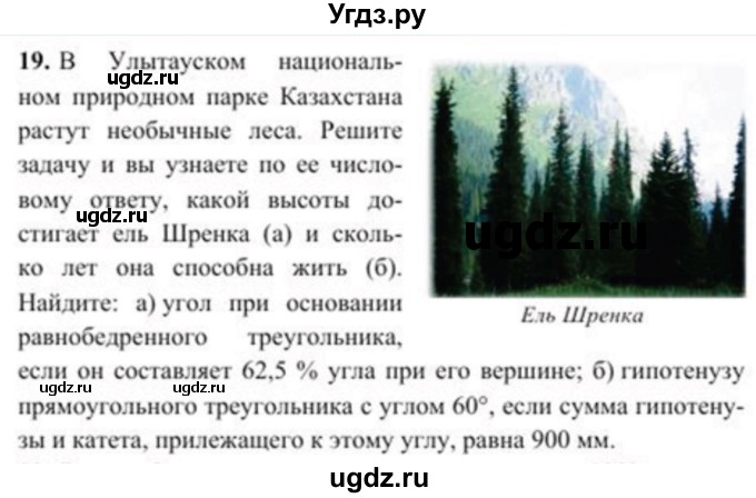 ГДЗ (Учебник) по геометрии 8 класс Солтан Г.Н. / задача / 19