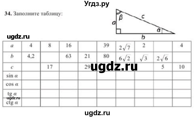 ГДЗ (Учебник) по геометрии 8 класс Солтан Г.Н. / упражнение / 34