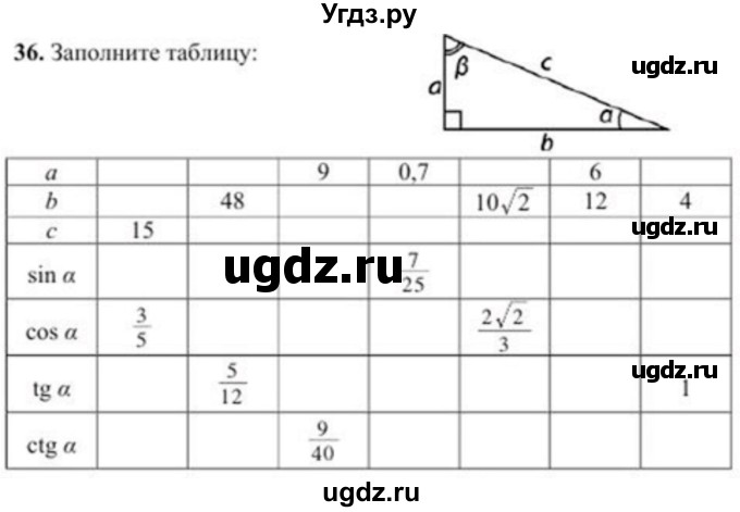 ГДЗ (Учебник) по геометрии 8 класс Солтан Г.Н. / упражнение / 36