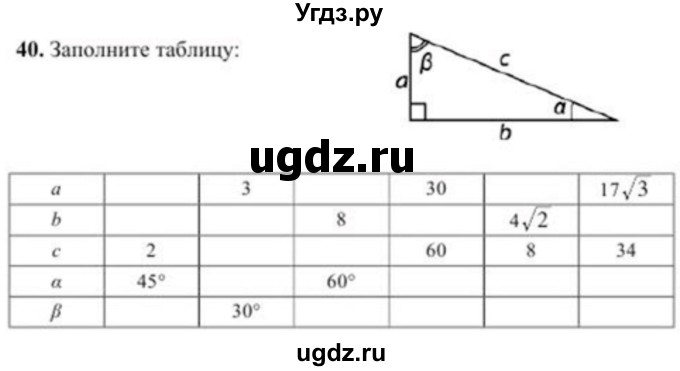 ГДЗ (Учебник) по геометрии 8 класс Солтан Г.Н. / упражнение / 40