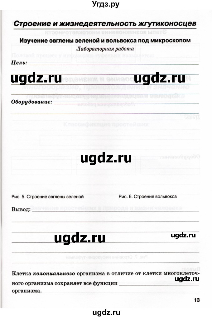 ГДЗ (Учебник) по биологии 7 класс (рабочая тетрадь) Н.Ф. Бодрова / тема 2 (страница) / 13