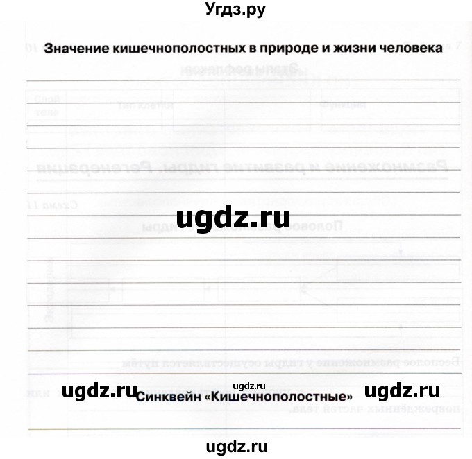 ГДЗ (Учебник) по биологии 7 класс (рабочая тетрадь) Н.Ф. Бодрова / тема 3 (страница) / 20