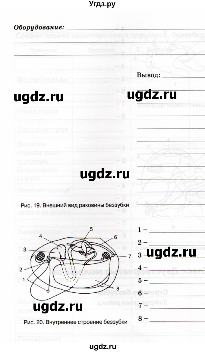 ГДЗ (Учебник) по биологии 7 класс (рабочая тетрадь) Н.Ф. Бодрова / тема 5 (страница) / 38