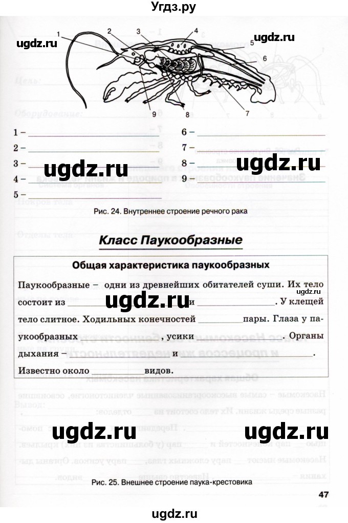 ГДЗ (Учебник) по биологии 7 класс (рабочая тетрадь) Н.Ф. Бодрова / тема 6 (страница) / 47