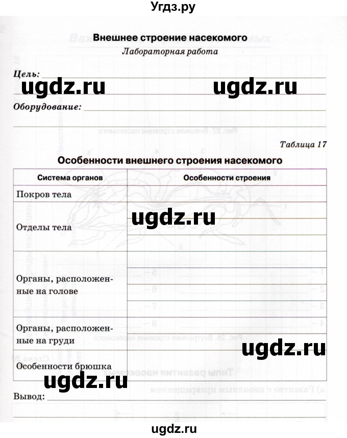 ГДЗ (Учебник) по биологии 7 класс (рабочая тетрадь) Н.Ф. Бодрова / тема 6 (страница) / 49