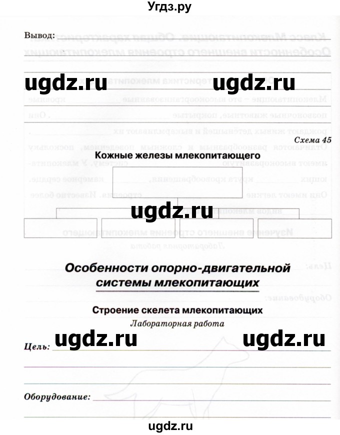 ГДЗ (Учебник) по биологии 7 класс (рабочая тетрадь) Н.Ф. Бодрова / тема 7 (страница) / 104