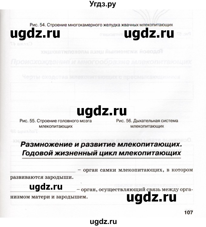 ГДЗ (Учебник) по биологии 7 класс (рабочая тетрадь) Н.Ф. Бодрова / тема 7 (страница) / 107