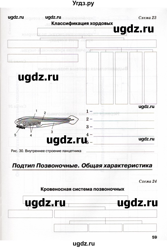 ГДЗ (Учебник) по биологии 7 класс (рабочая тетрадь) Н.Ф. Бодрова / тема 7 (страница) / 59