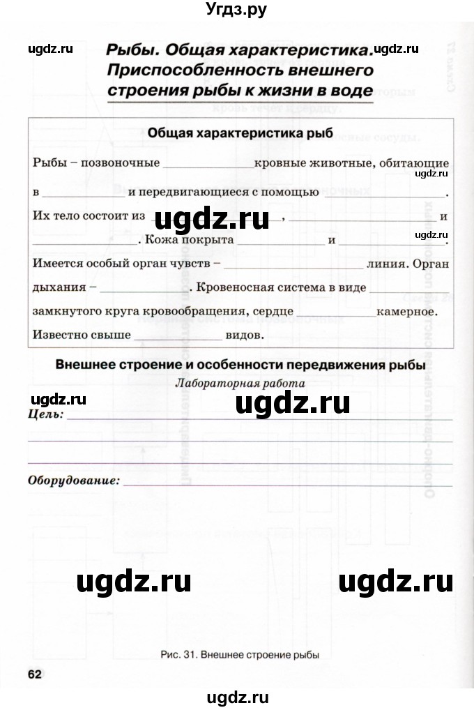 ГДЗ (Учебник) по биологии 7 класс (рабочая тетрадь) Н.Ф. Бодрова / тема 7 (страница) / 62