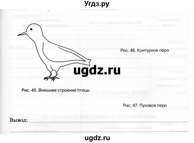 ГДЗ (Учебник) по биологии 7 класс (рабочая тетрадь) Н.Ф. Бодрова / тема 7 (страница) / 88(продолжение 2)