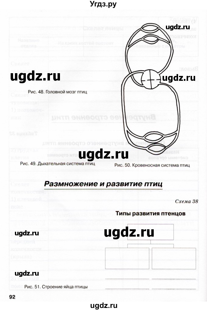 ГДЗ (Учебник) по биологии 7 класс (рабочая тетрадь) Н.Ф. Бодрова / тема 7 (страница) / 92