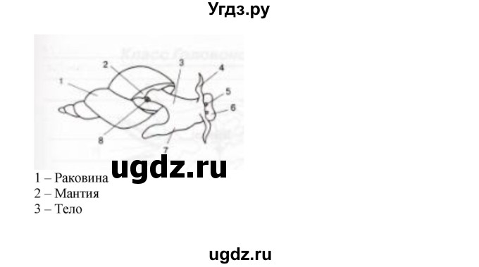 ГДЗ (Решебник) по биологии 7 класс (рабочая тетрадь) Н.Ф. Бодрова / тема 5 (страница) / 37