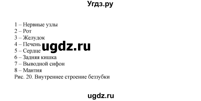 ГДЗ (Решебник) по биологии 7 класс (рабочая тетрадь) Н.Ф. Бодрова / тема 5 (страница) / 38(продолжение 2)