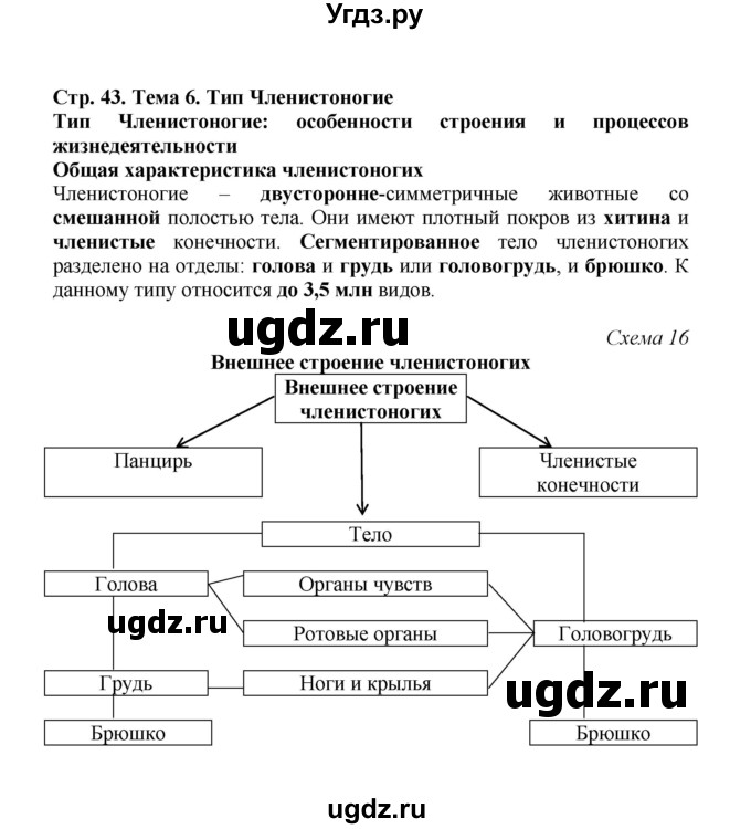 ГДЗ (Решебник) по биологии 7 класс (рабочая тетрадь) Н.Ф. Бодрова / тема 6 (страница) / 43